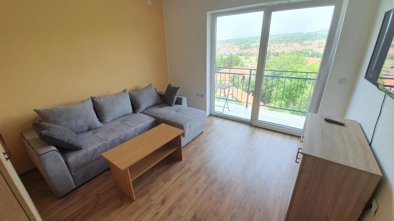 Vila Lav Sokobanja Phòng bức ảnh